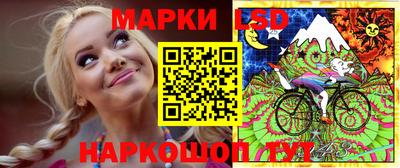 стаф Пенза