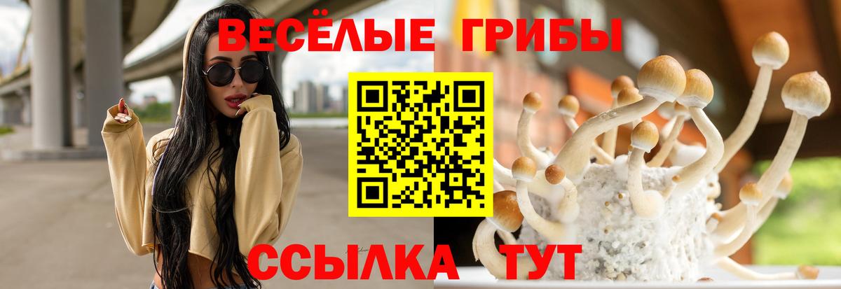 Находка  Псилоцибиновые грибы прущие грибы  Псилоцибиновые грибы GOLDEN TEACHER  Вход с VPN 